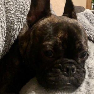 Meet your Posher, Staci